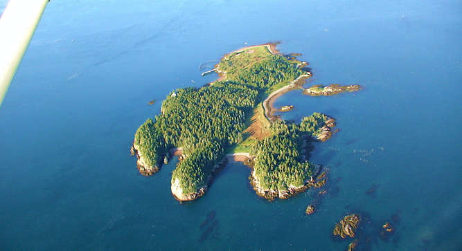Picture of Dream Island 1