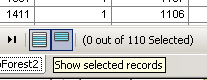 Show selected records icon at the bottom of the attribute table window