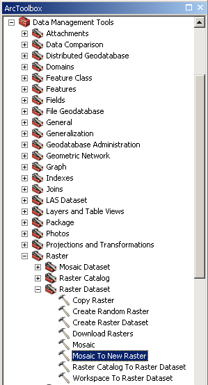 Mosaic to New Raster Tool Box Screenshot