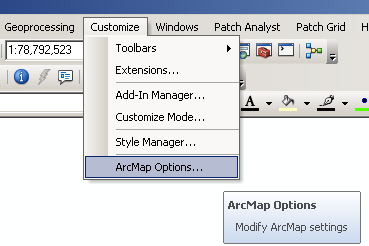 ArcMap Options Menu Screenshot