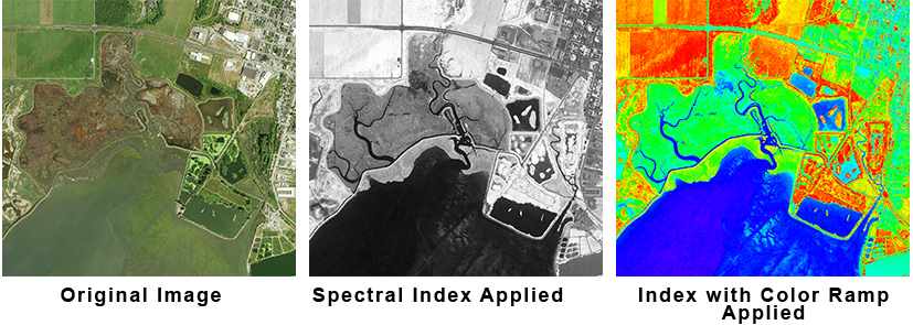 Spectral Index