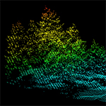 Lidar Point Cloud