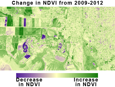 NDVI Change