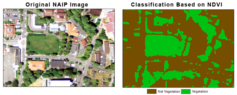 NDVI Class