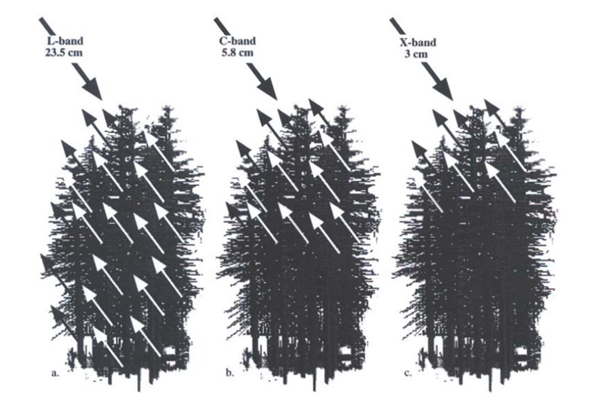 Wavenlength and Trees