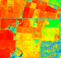 NDVI