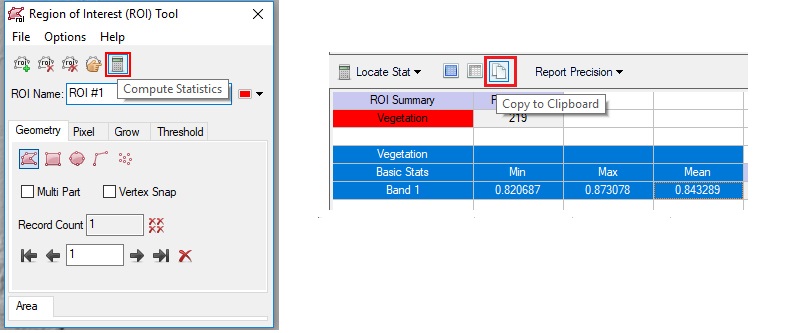 ROI Statistics