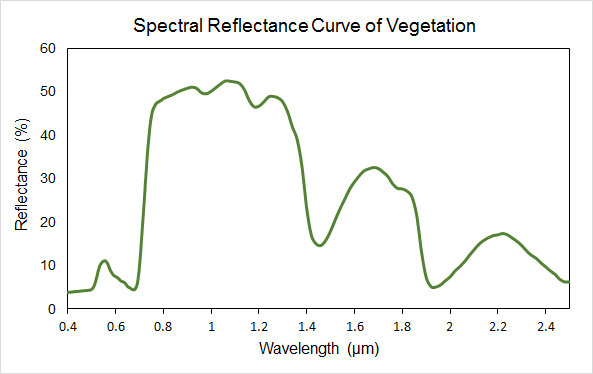 Spectral Reflectance Curves