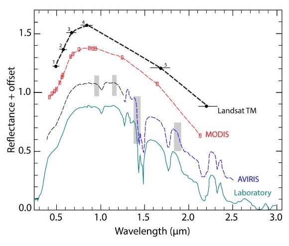 Sensor and spectral curves