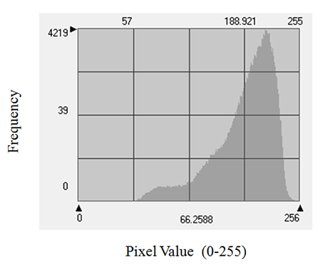 Histogram